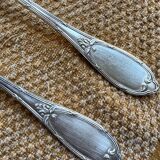 Fork and spoon set in silver metal