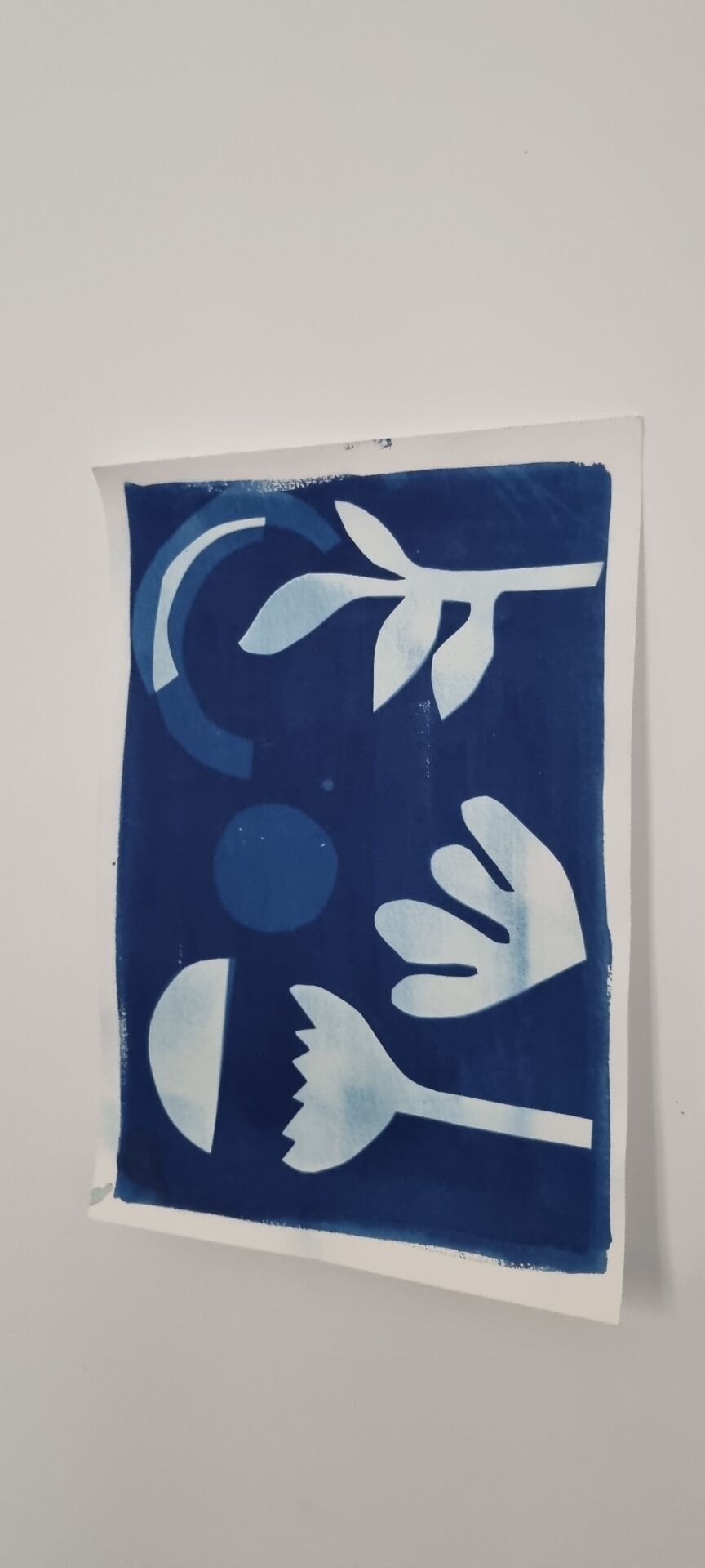 Cyanotype wall decor