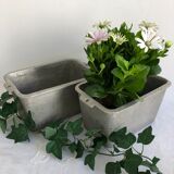 Planter for summer plantings