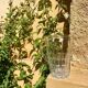 Carafe vintage neuve