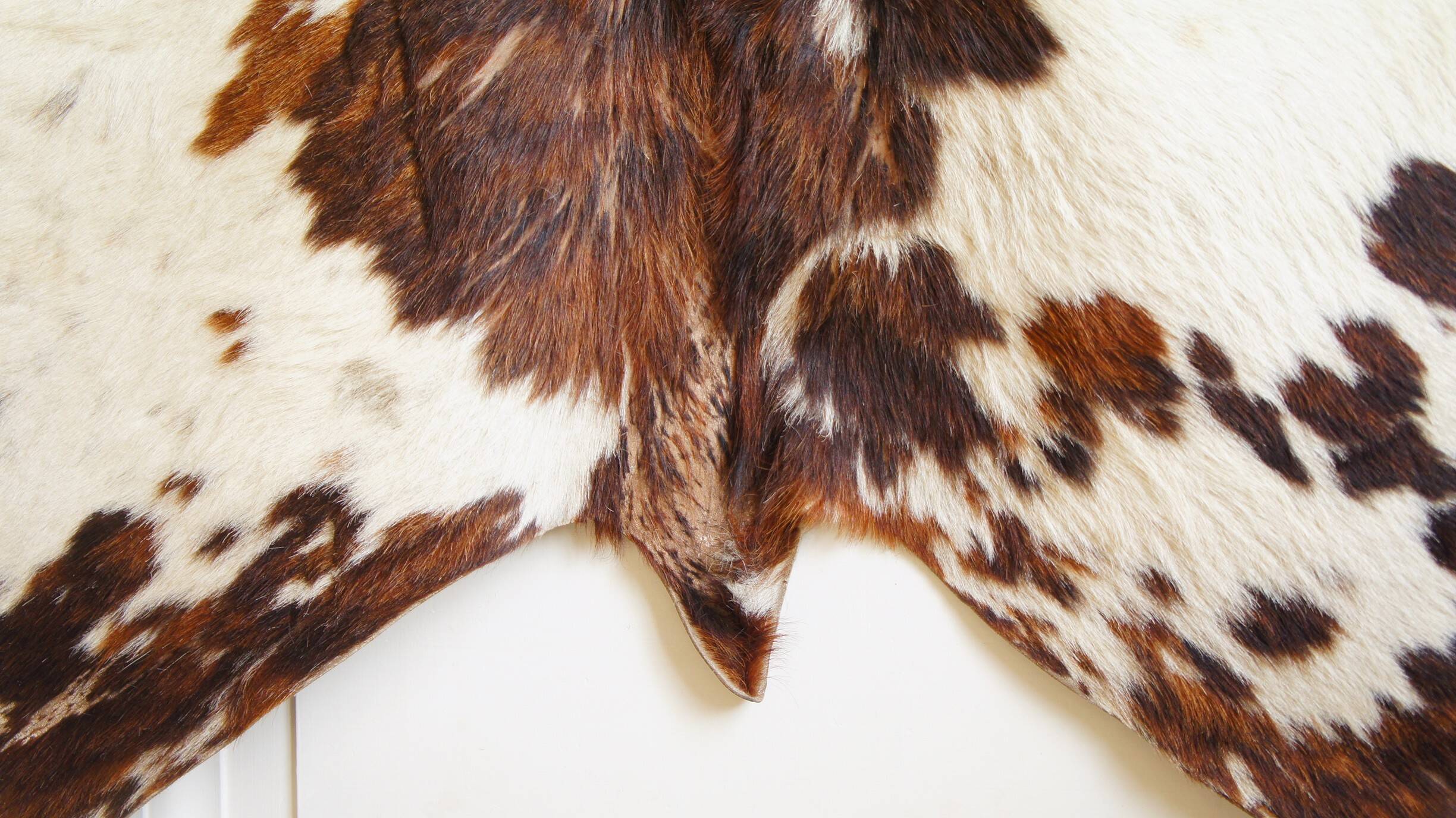 Cowhide rug 1970