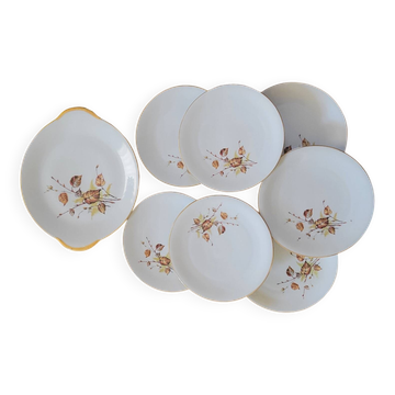 Dessert Plates & Serving Platter Royal Porcelain Vierzon Enamel