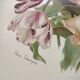 Botanical flower engraving 1899 by Élisa Champin - Tulips - Old print