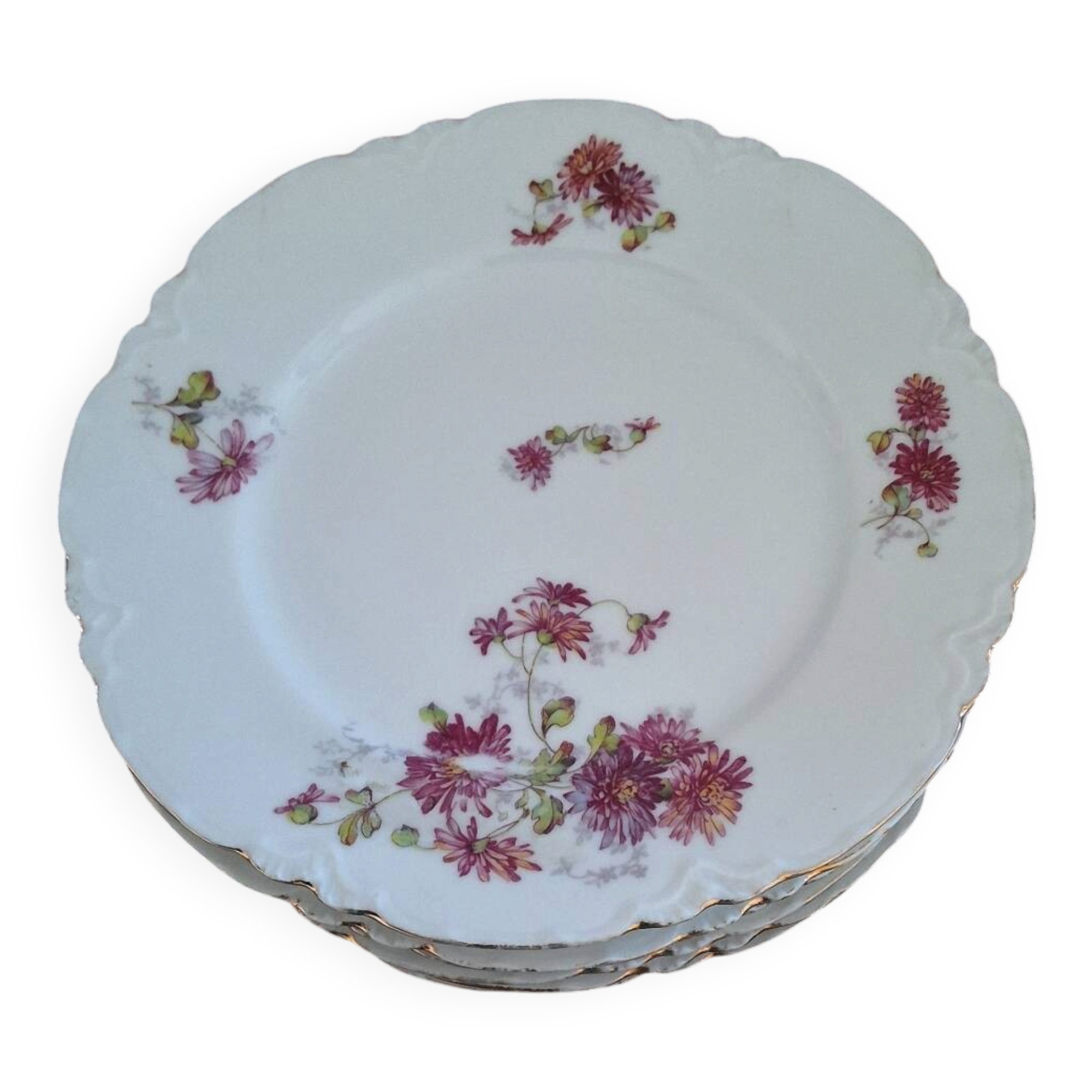 12 VINTAGE PORCELAIN PLATES "HAVILAND"