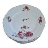 12 VINTAGE PORCELAIN PLATES "HAVILAND"