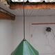 Industrial enamelled lamp