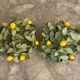 1 or 2 ceiling lights/wall lamps with a lemon fruit design, Art et Floristie collection.