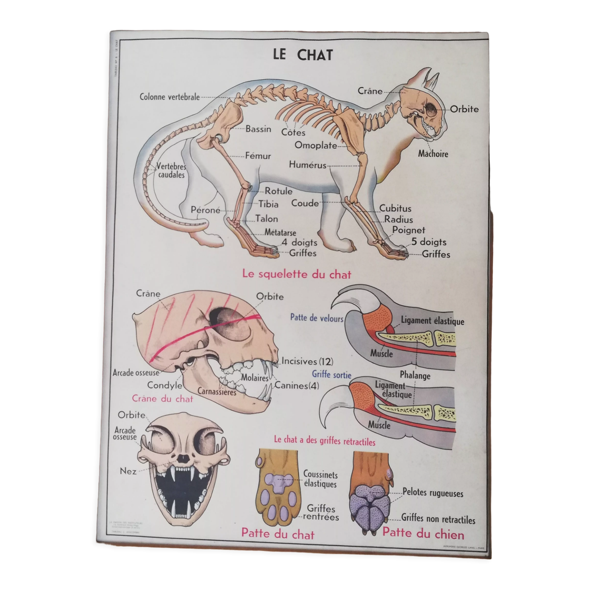 Vintage school poster