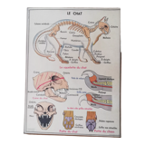 Vintage school poster