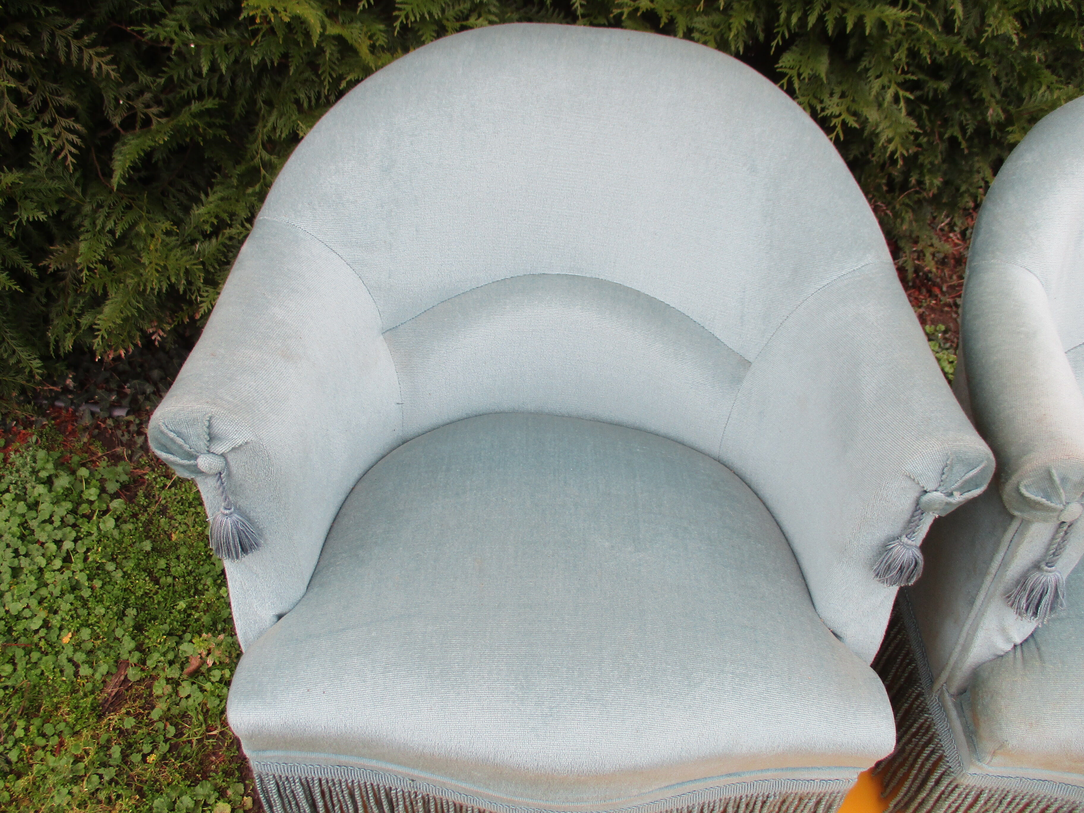 Pair of blue velvet toad armchairs