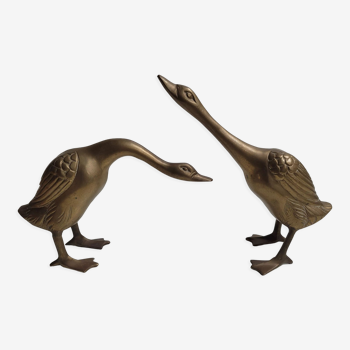 Duo brass geese