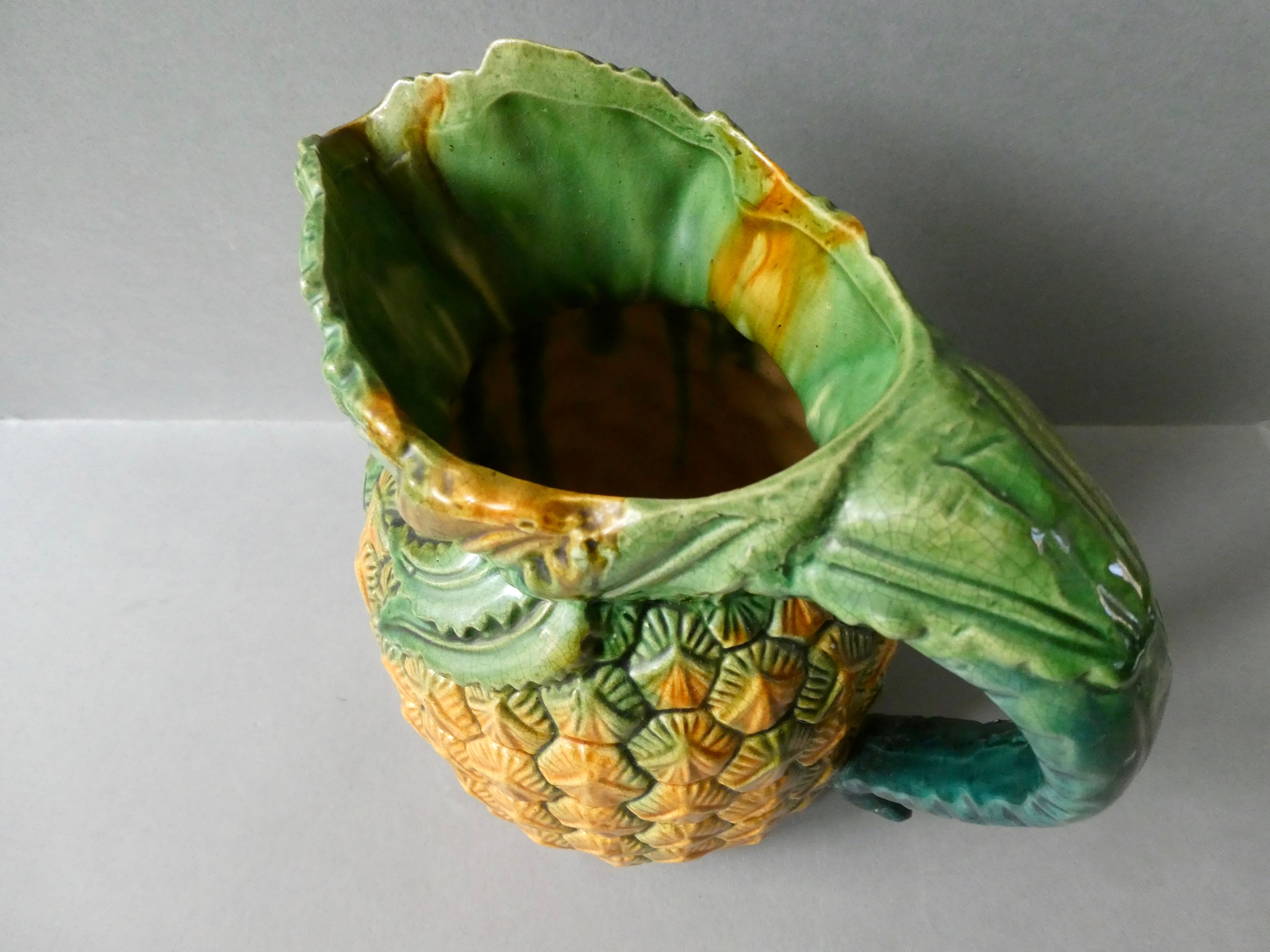 Pineapple pitcher in dabbling