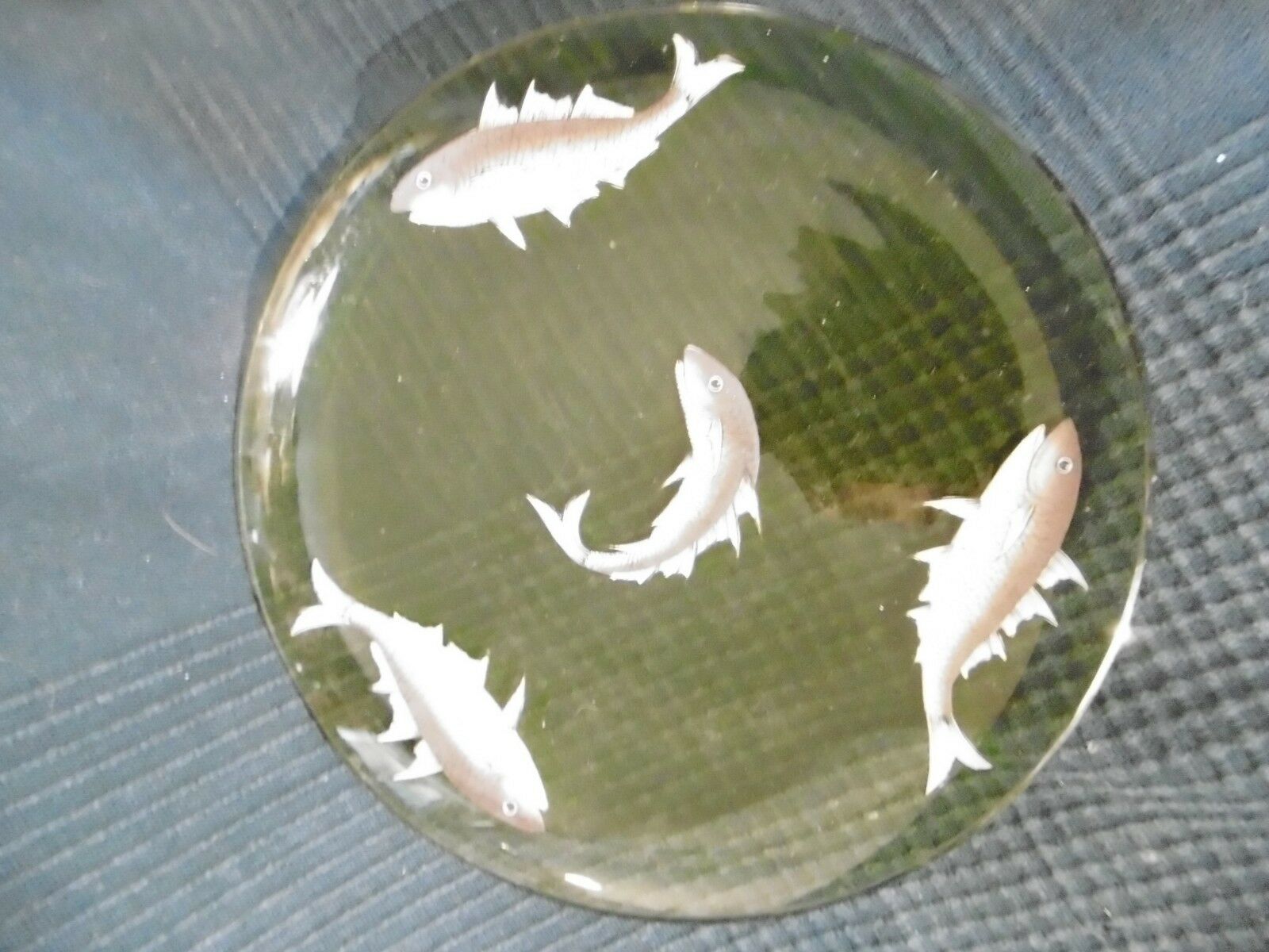 Set of 5 old plate in e emaille glass or hand-painted old fish decoration
