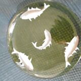 Set de 5 assiette ancienne en verre emaille ou peint a la main decor poisson ancien