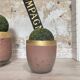 Planters, foundry crucibles