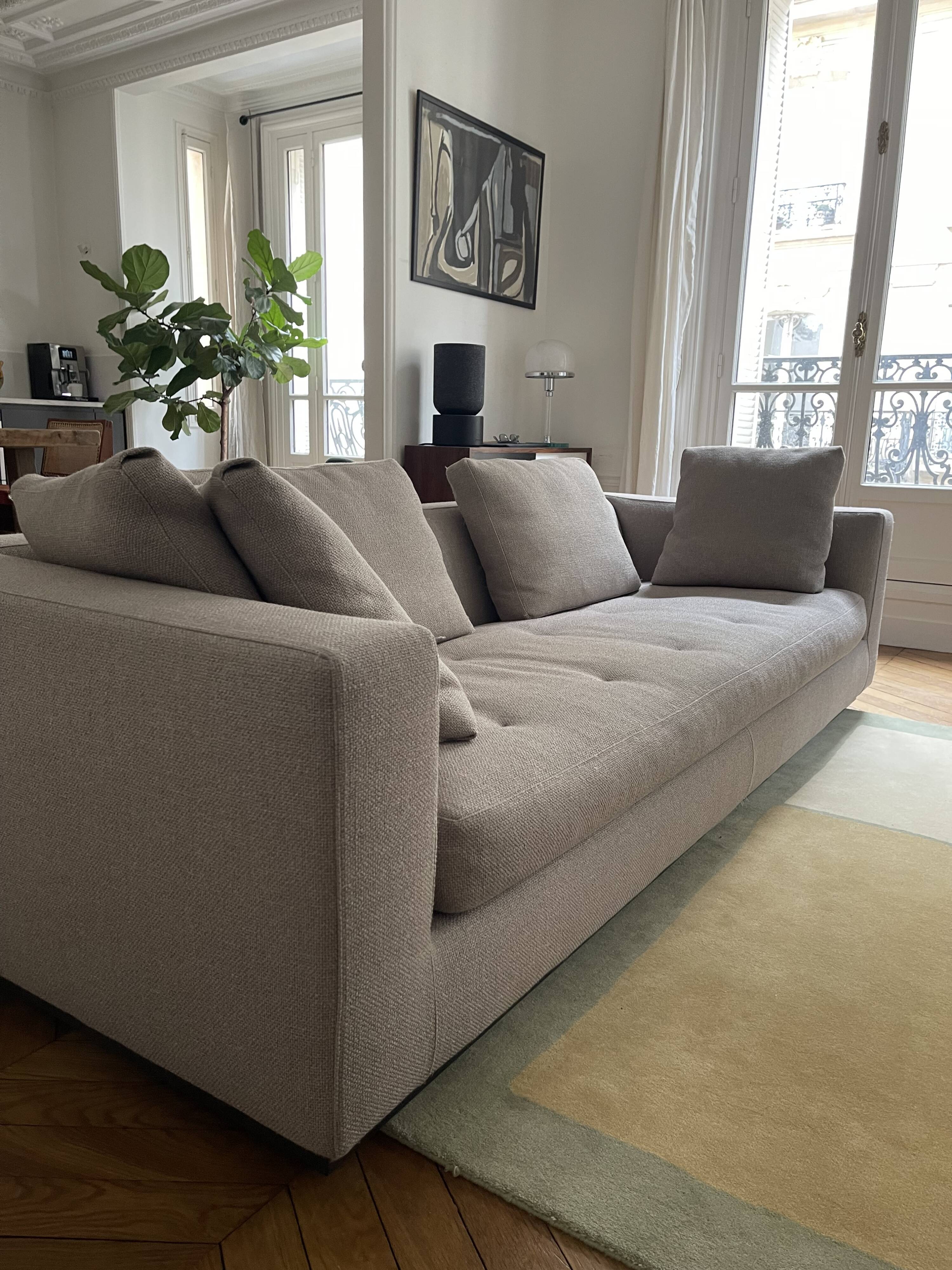 Minotti sofa