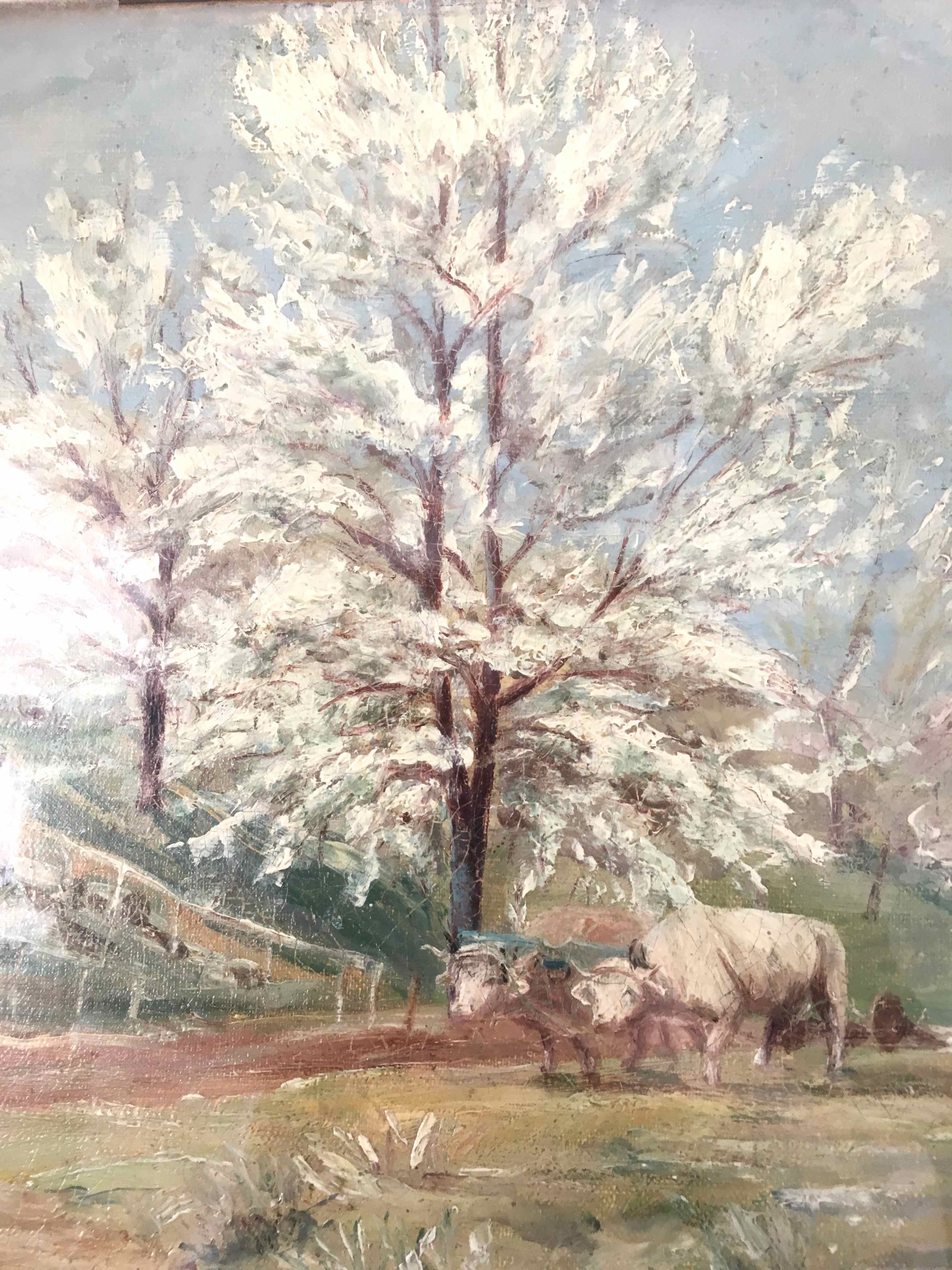 Oil painting on canvas cherry blossoms