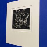 Mario avati (1921-2009), butterflies, black manner, 1970