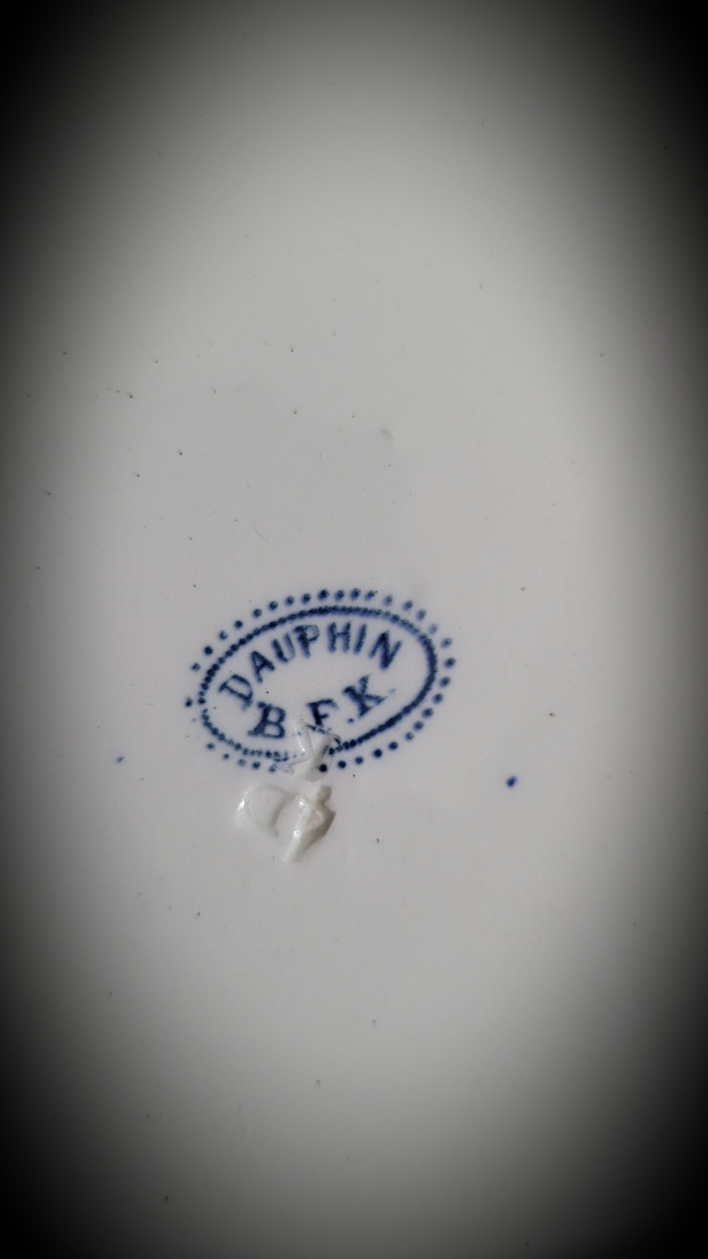 Set 4 Plates Dolphin