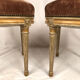 Paire de chaises à dossier montgolfière de style Louis XVI