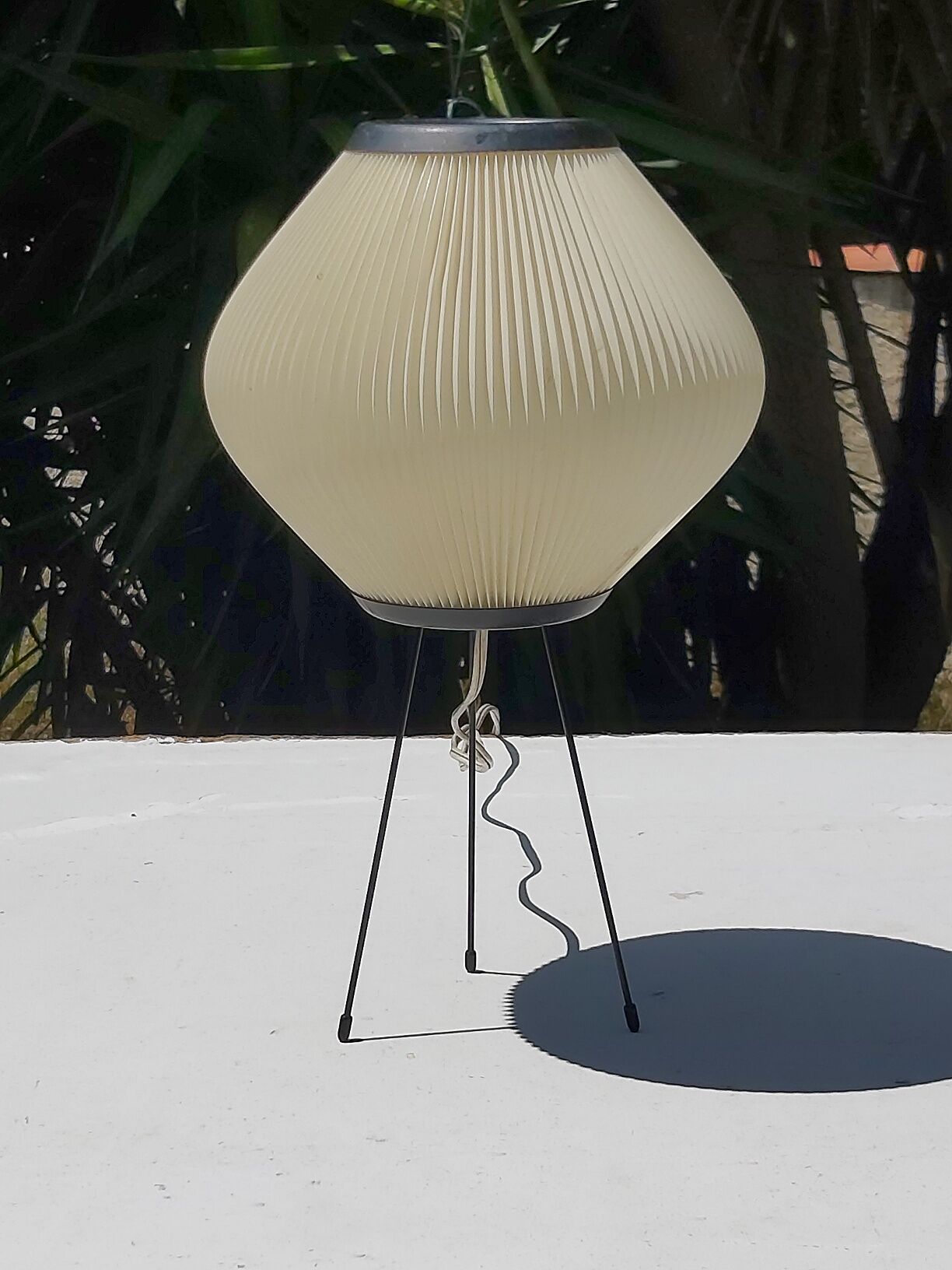 Rispal rhodoid lamp vintage 50s