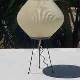 Rispal rhodoid lamp vintage 50s