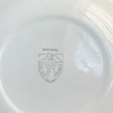 Plat Salins rose modèle Mistral