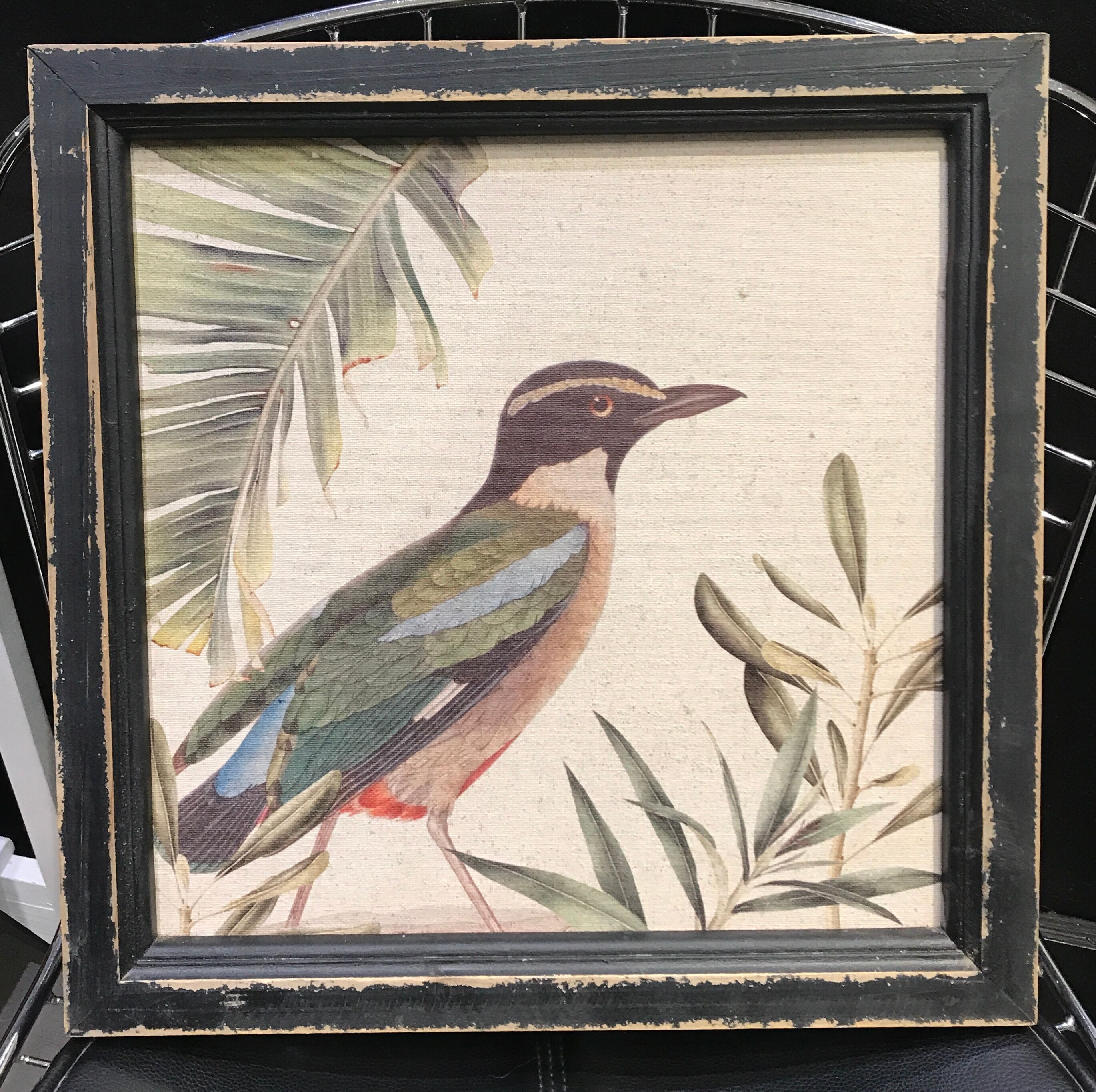 Bird frame on canvas