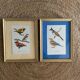 Ornithological frames “birds in cages”.