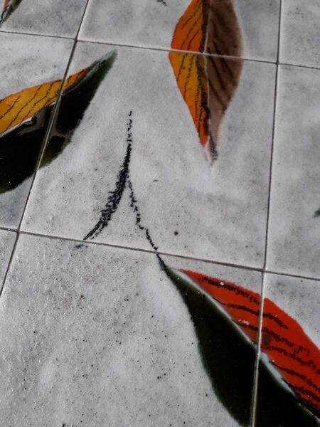 Ceramic coffee table, 1950