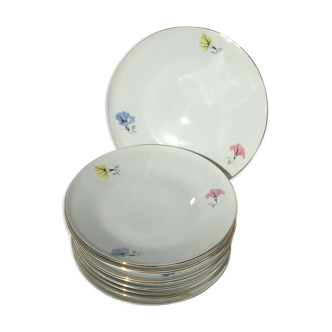 10 plates dessert porcelain decoration flowers 50's melitta