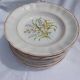 6 deep plates – Capôa earthenware – vintage Portuguese