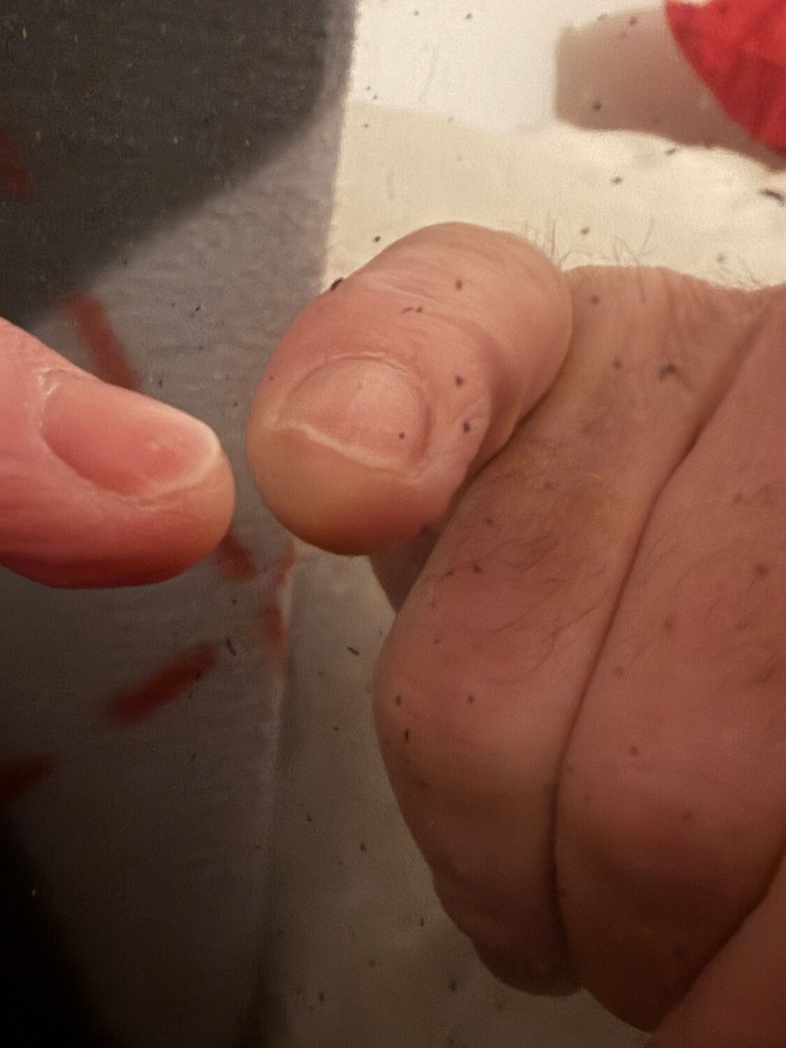 Antique mirror in Louis XV style