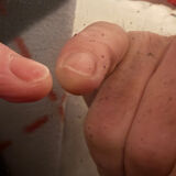 Antique mirror in Louis XV style