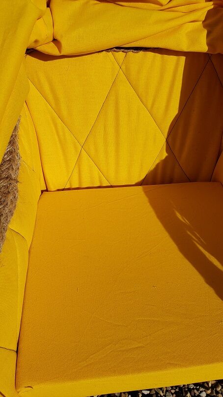 Children's cart early nineteenth