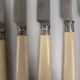 11 ivory knives