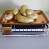 Teraillon brand vintage metal and copper metal scale 50s