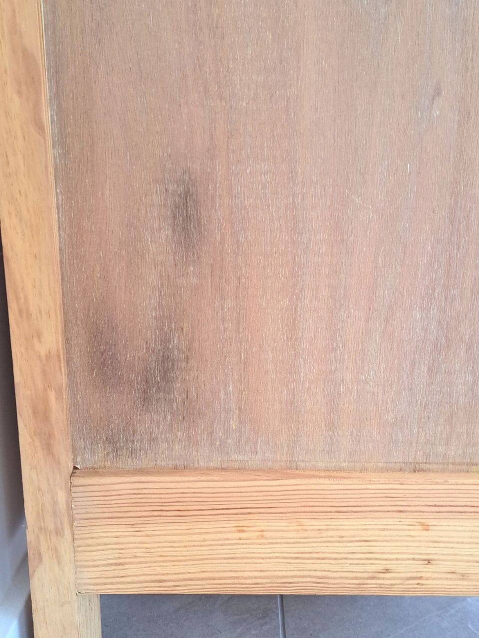 Parisian Art Deco wardrobe in stripped natural wood – floral patterns