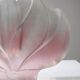 Vintage Walther Glas lotus bud vase, Germany, 1970s