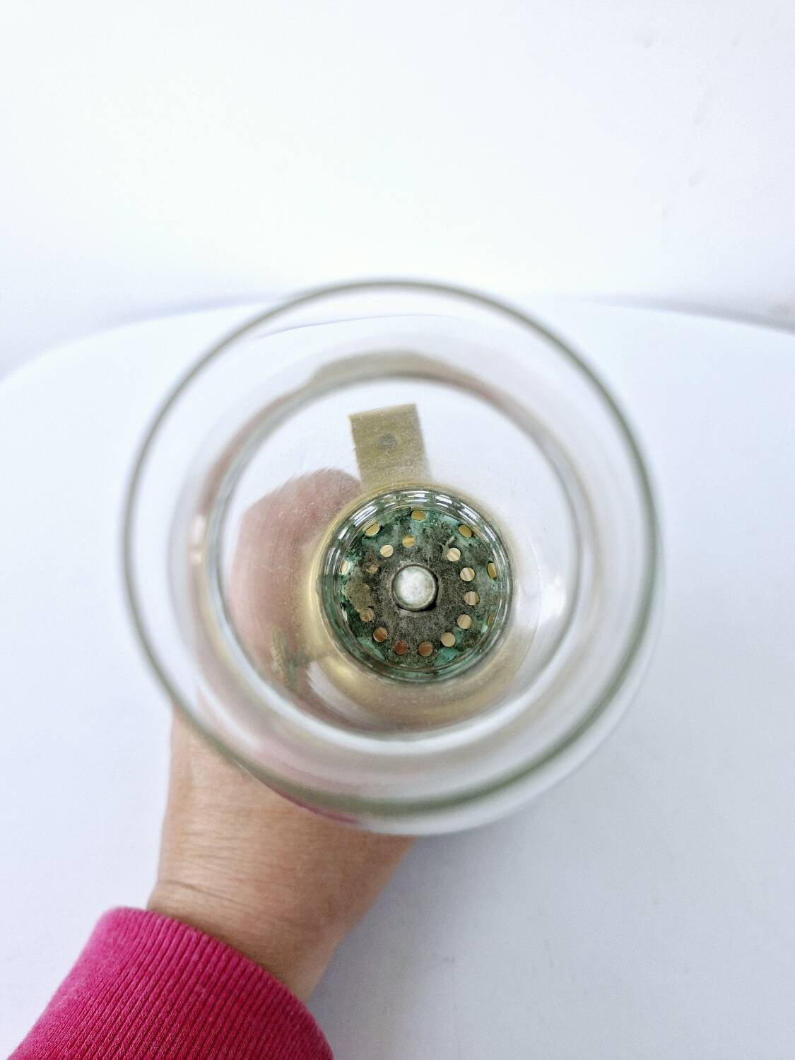 Olympe lamp genuine 1860 pigeon lamp type brass