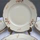 Set 8 plates and dish Villeroy & Boch Mettlach tulips 1940