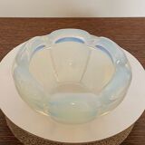Opalex bowl