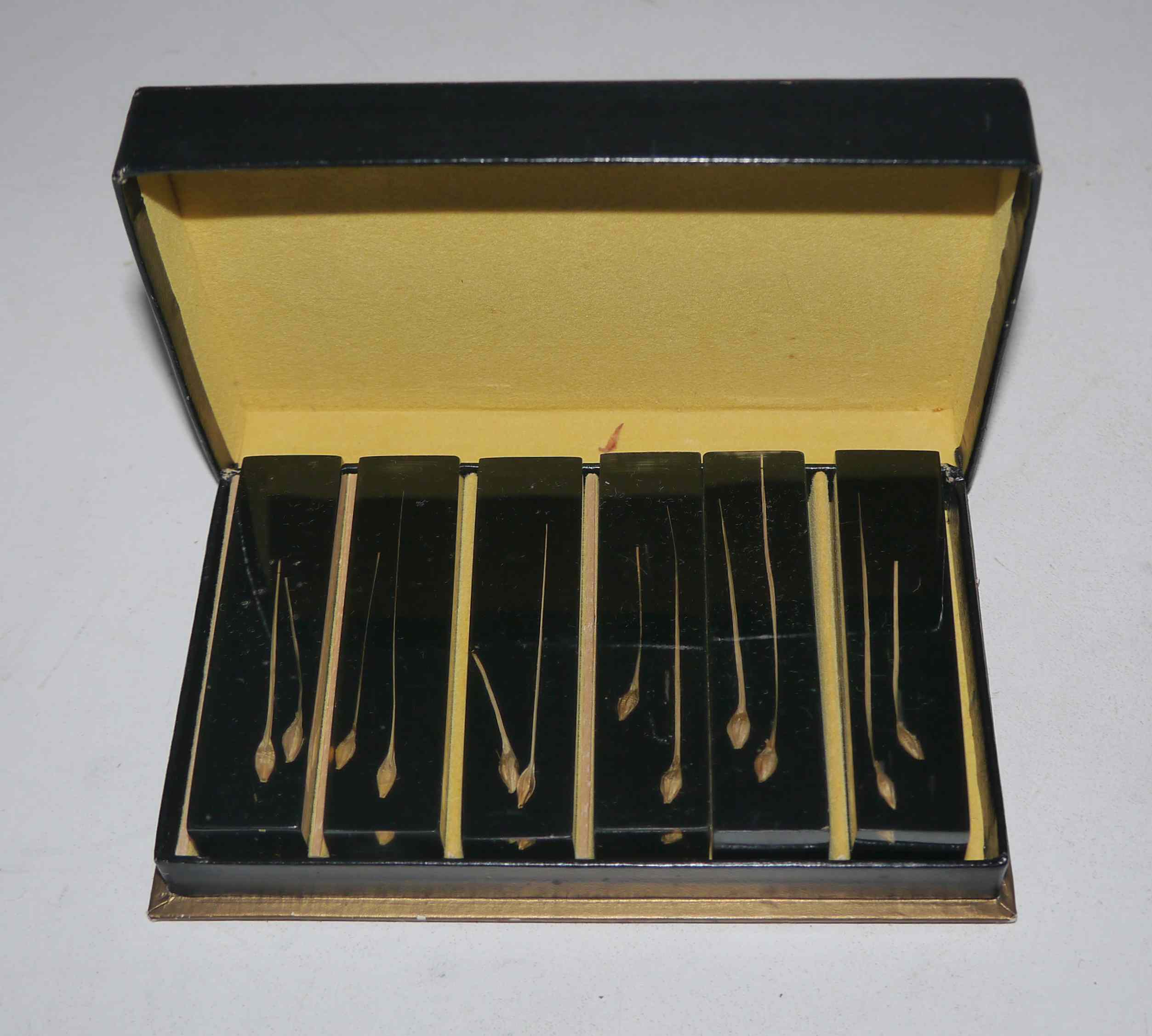 Service of 6 resin knife holders and inclusion 60's years