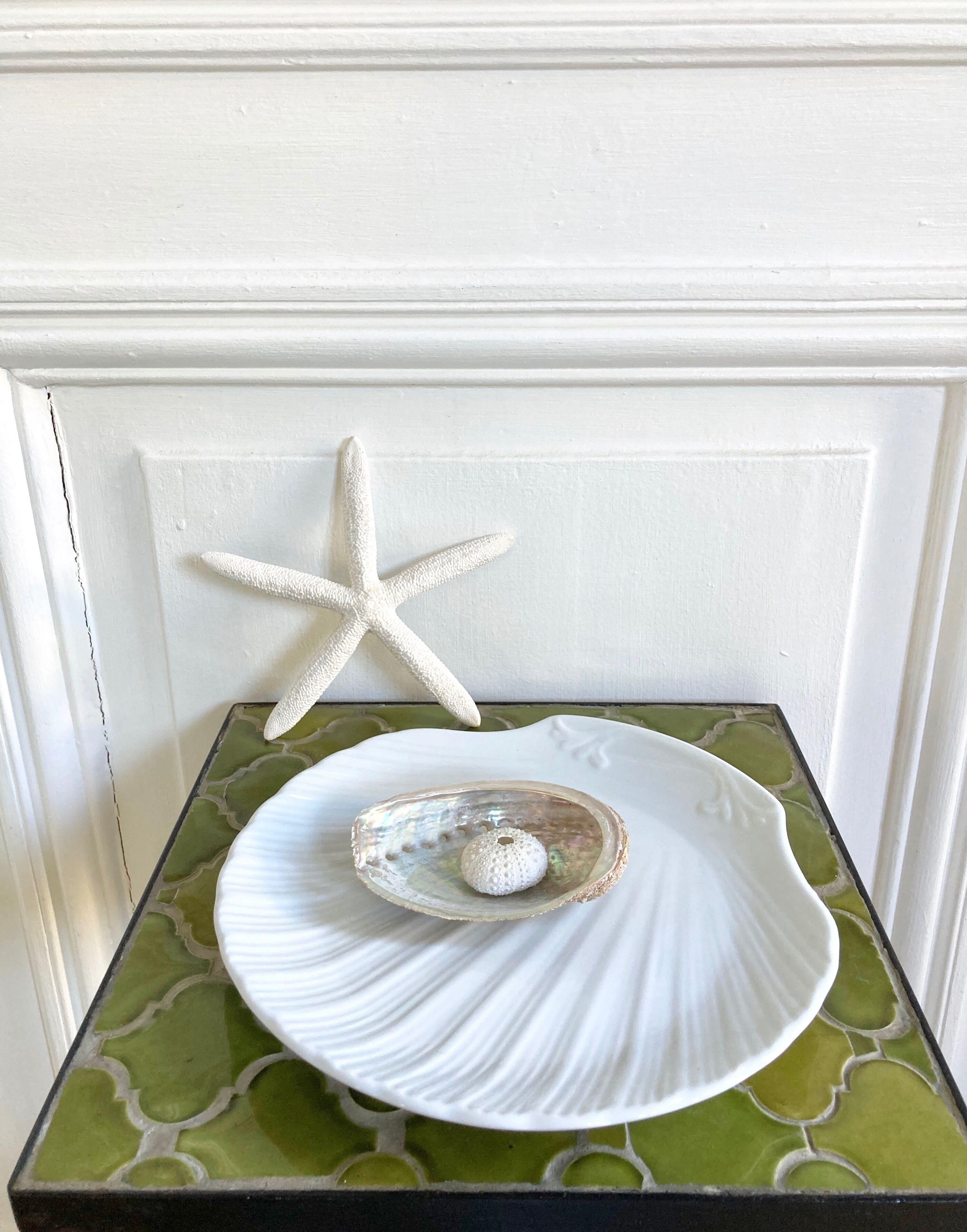 Porcelain scallop dish