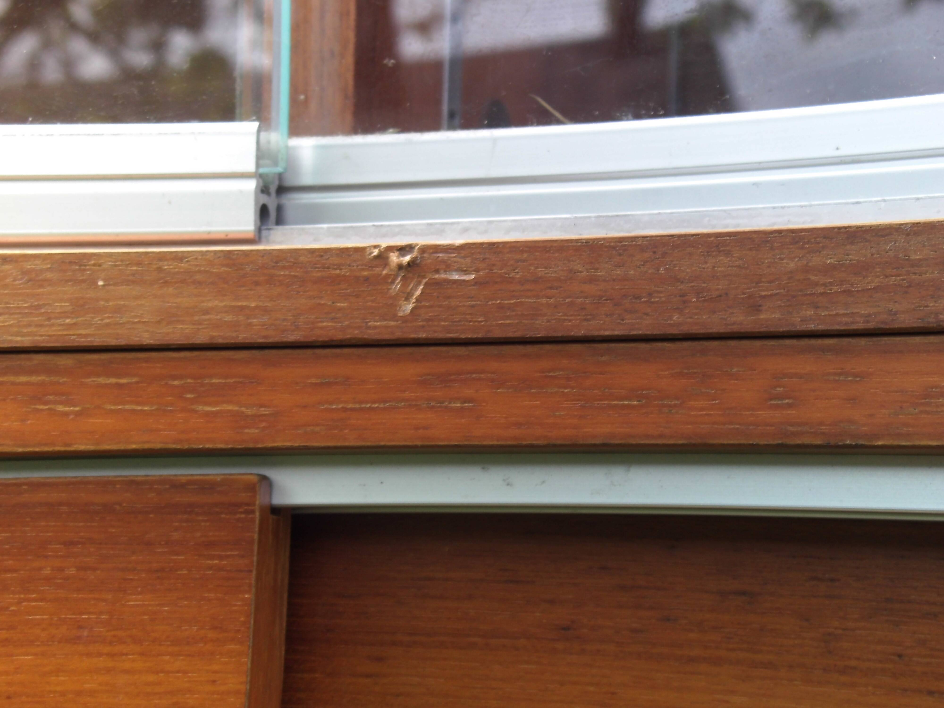 Scandinavian showcase