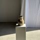 Old beige matte terracotta carafe H24 L16