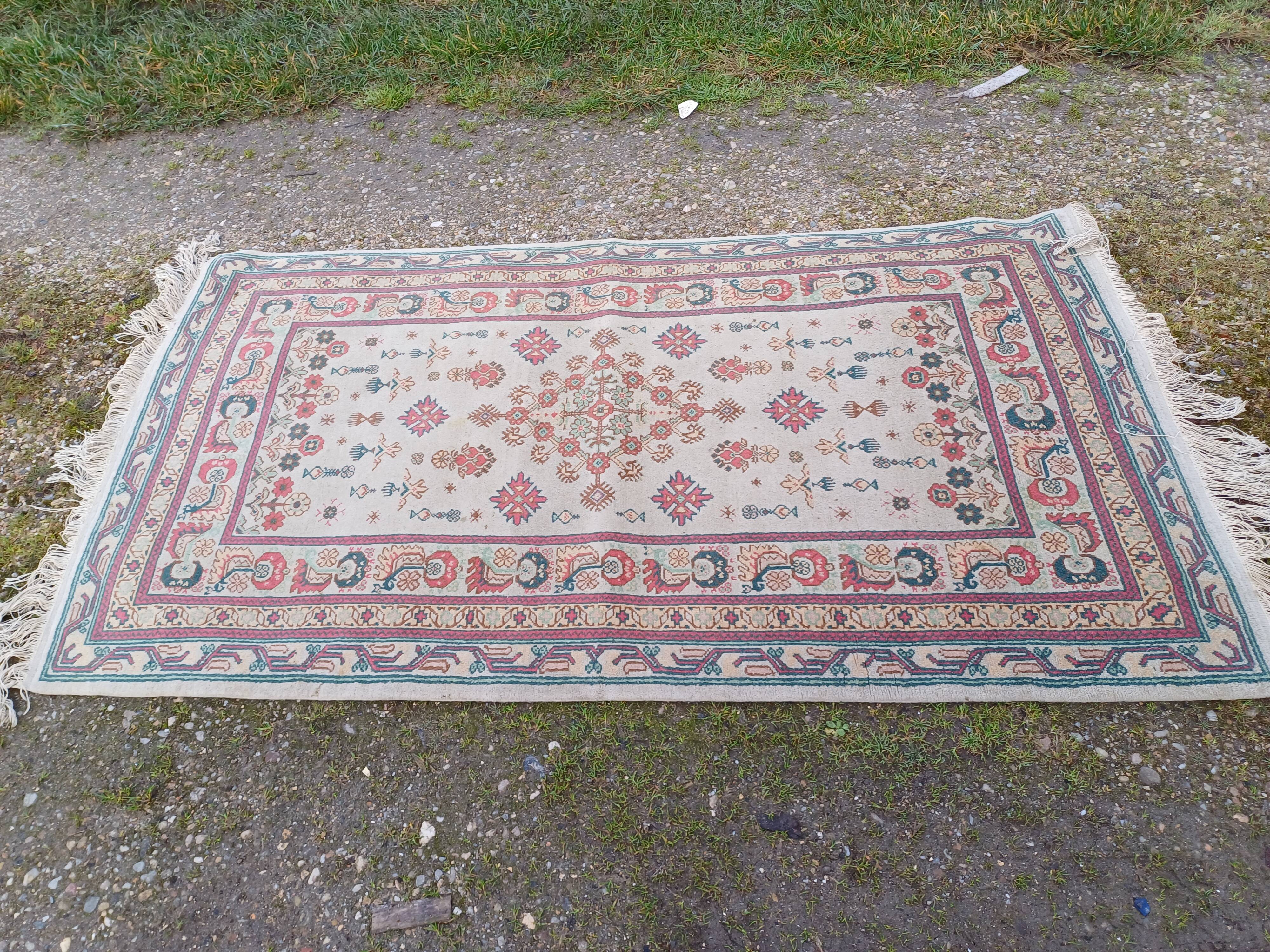 Hand-knotted wool oriental rug
