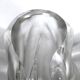 Lalique, Polished and Frosted Crystal Glass model Ingrid from 60s