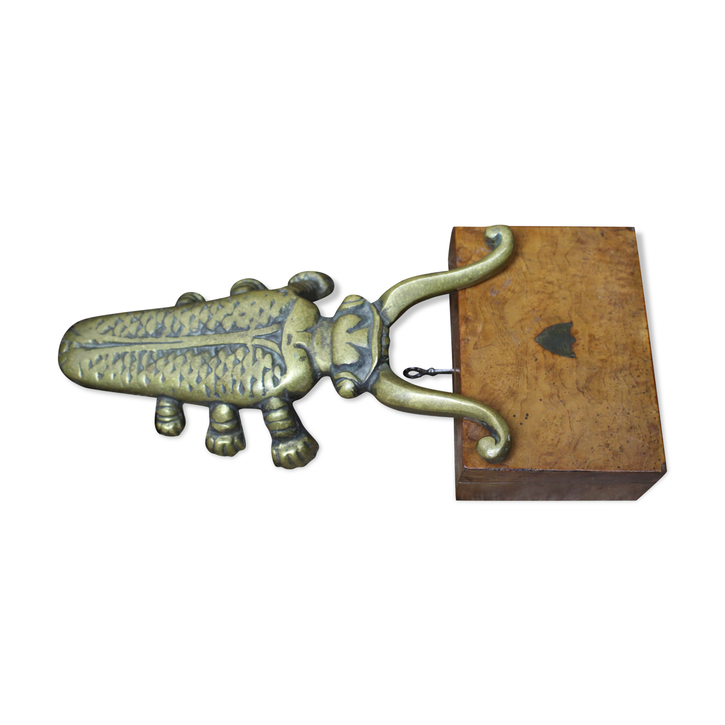 Golden cast iron beetle