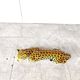 Ceramic Hand Painted Leopard, 1960's Italy